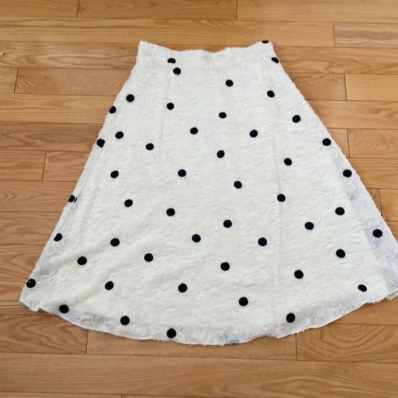 Anthropologie Eri + Ali Andrea Textured Polka Dots Midi Skirt - Picture 8 of 15